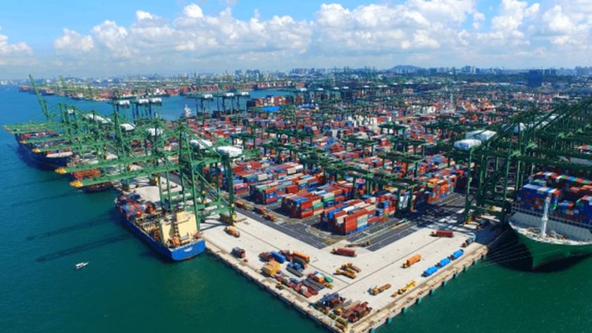 PSA Singapore container re-handling up 8% in H1 2024